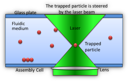 Optical trapping publication image