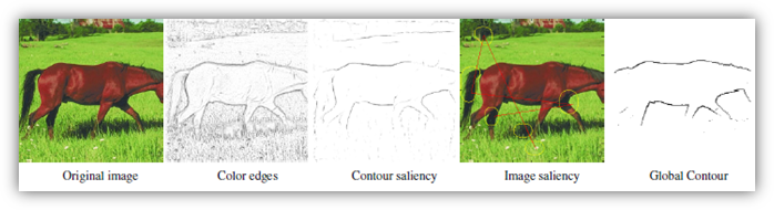 Global contours publication image